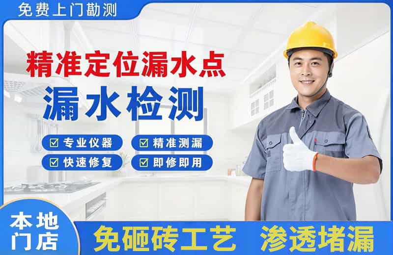 萨嘎精准测漏点